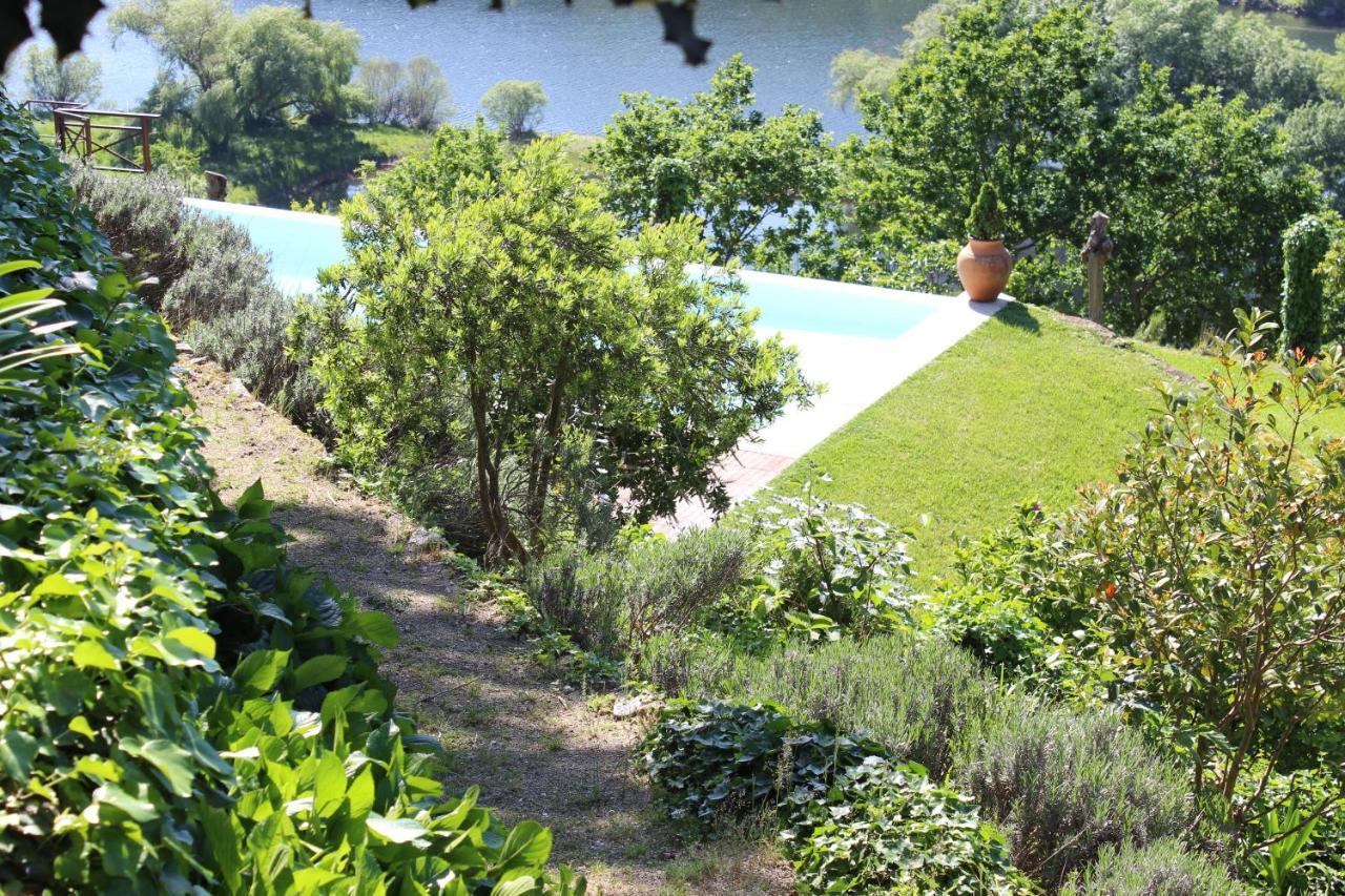 "Bouca Drigues" Casa Antiga De Pedra Com Piscina E Vista Rio Villa Amarante Ngoại thất bức ảnh