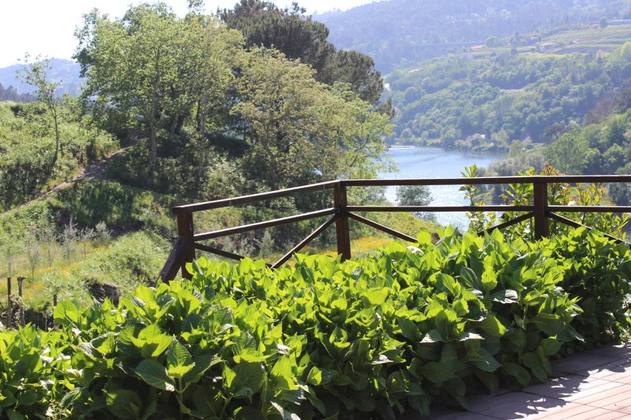 "Bouca Drigues" Casa Antiga De Pedra Com Piscina E Vista Rio Villa Amarante Ngoại thất bức ảnh