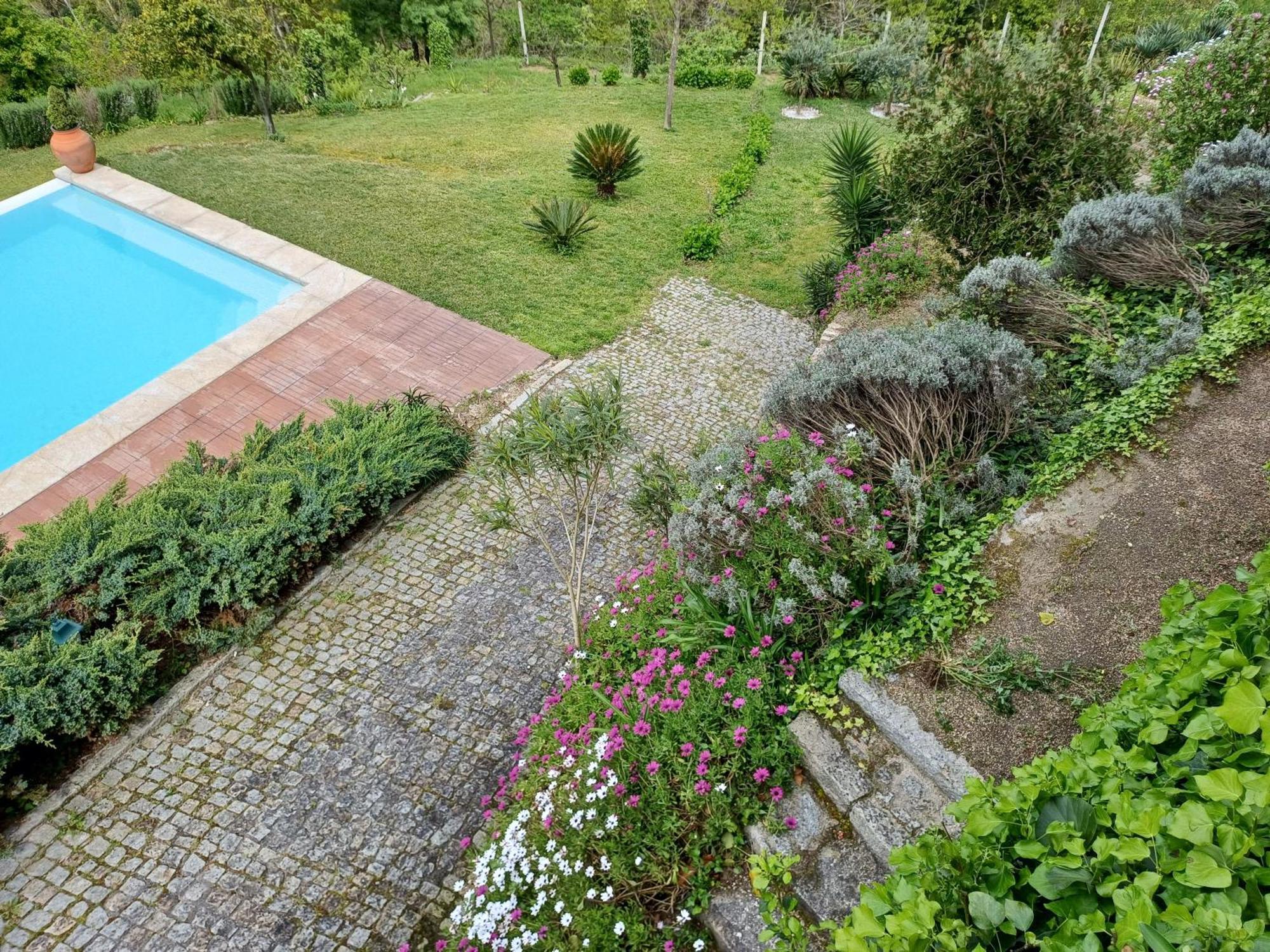 "Bouca Drigues" Casa Antiga De Pedra Com Piscina E Vista Rio Villa Amarante Ngoại thất bức ảnh